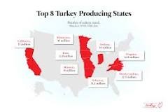where-is-turkey-produced-from