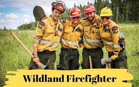 wildland firefighter training