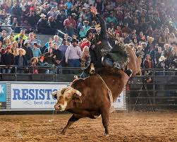 handsome cowboy bull riding at rodeo