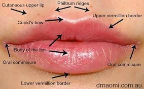 what makes the perfect lips