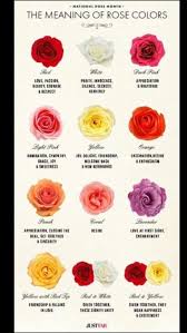 What Color Flowers Mean