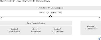 C Corp Vs S Corp Partnership Proprietorship And Llc Toptal