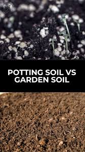 potting soil vs garden soil in your