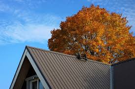 The Pros And Cons Of Metal Roofing