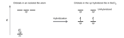 8 2 Hybrid Atomic Orbitals Chemistry