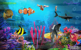 fish free animated gif picmix