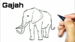 cara gambar hewan gajah you