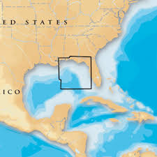 Navionics Platinum East Gulf Of Mexico On Cf Products
