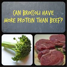 Fact Or Fiction Vegetable Protein Edition Thinkybites