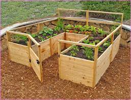 Raised Vegetable Garden Beds Kits