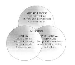 Critical Thinking and Nursing Practice   ppt video online download NRSNG com     Nursing process     