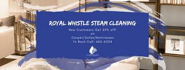 royal whistle steam cleaning snap gy