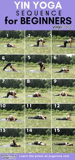 yin yoga sequence for beginners