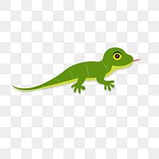 Gecko Png Vector Psd And Clipart