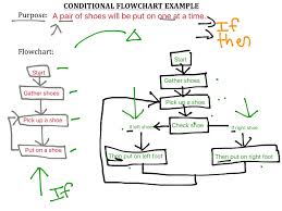 Conditional Flowchart Science Showme