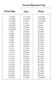 Pet Age Chart To Compare Your Pets Age To Humans
