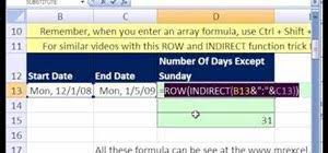 how to count days excluding sundays in