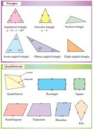 Triangles And Quadrilaterals Properties Types Of Triangle