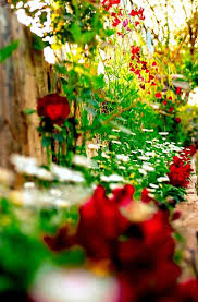Flower Garden Background Images Hd
