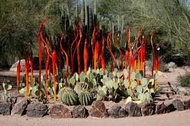 phoenix desert botanical garden summer