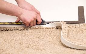 healthy home carpet care