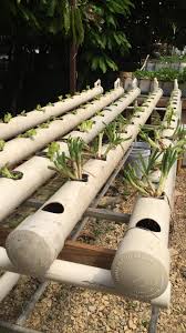 nft hydroponics system taíno farm