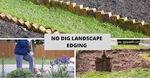 Best No Dig Landscape Edging Diy Tips