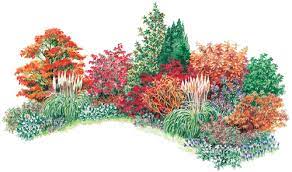 How To Plant An Autumn Border The