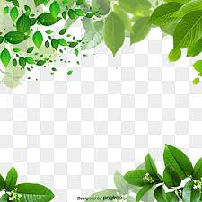 When one value is specified. Leaves Border Png Images Vector And Psd Files Free Download On Pngtree
