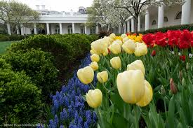 Re White House Rose Garden