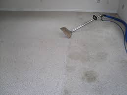 carpet cleaning alpharetta ga carpet