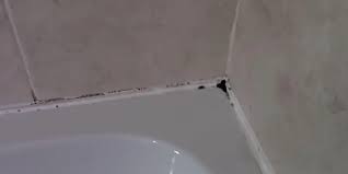 Black Mold Cleaning Process From