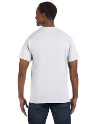 Hanes 5250t Tagless T Shirt