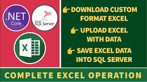 read and import data of uploaded excel