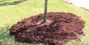 proper mulching is one of the best