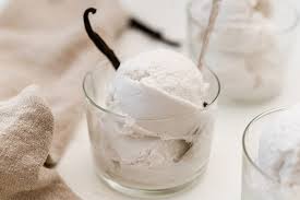 vitamix ice cream using coconut milk
