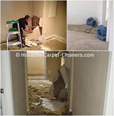 houston carpet cleaners professional