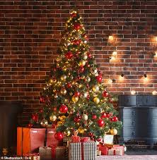 Expert Reveals How To Decorate Christmas Tree And What You