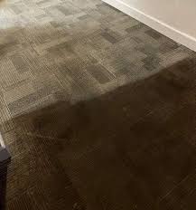 bwood carpet cleaning services