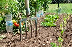 Grow Your Own Vegetables In France