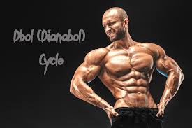dbol dianabol cycle how strong is