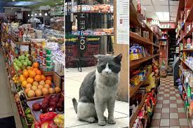 Bodegas vs. delis: Do New Yorkers even ...
