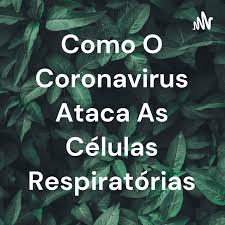 Como O Coronavirus Ataca As Células Respiratórias