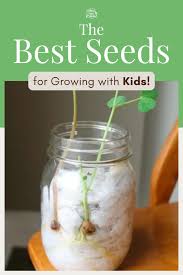 seed germination for kids the results