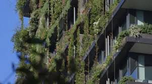Sustaility Living Wall