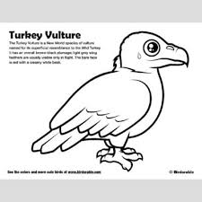 Lego vulture, lego, characters, toys. Turkey Vulture Coloring Page Fun Free Downloads Activity Pages Birdorable