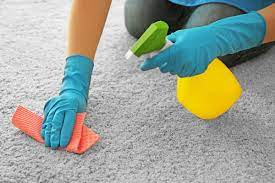 how to clean carpets by hand