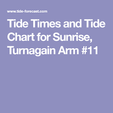 Tide Times And Tide Chart For Sunrise Turnagain Arm 11