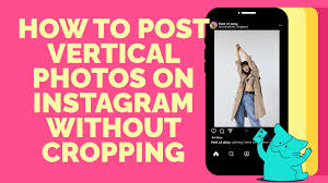 how to post vertical photos and videos
