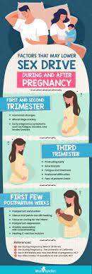Can having sex during the forst trimester cause some bleeding